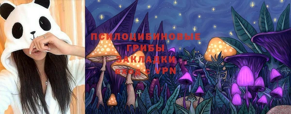мяу мяу мука Переславль-Залесский